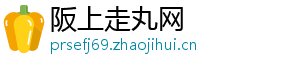 阪上走丸网